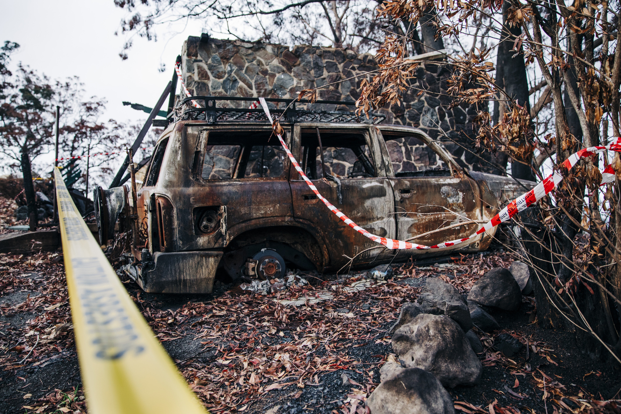 Eight Qld Councils To Share In $10 Million Bushfire Recovery Funding ...