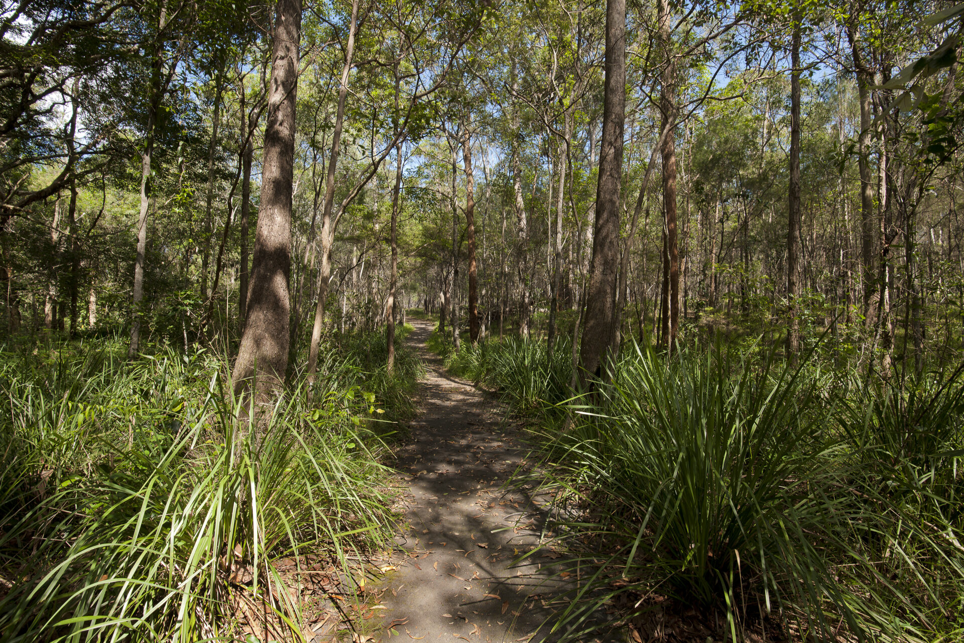 Brisbane pockets more bushland - Inside Local Government