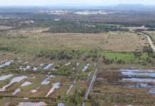 Sunshine Coast Council to restore former sugar cane site