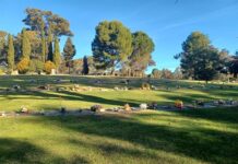 Berrigan Shire launches online cemetery platform