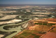 Murray River councils urge region to respond to basin plan discussion paper