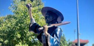 Bendigo women’s cricket trailblazer immortalised in bronze