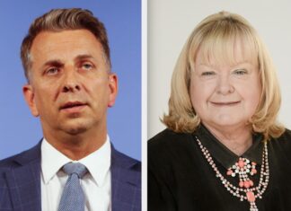 Shoalhaven City Council to be stripped of hiring powers after recruitment of former MP