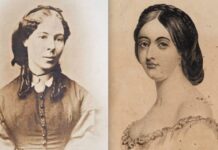 Orange exhibition pays tribute to natural history illustrator sisters