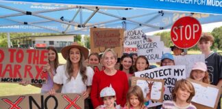 Queensland Govt calls in Gold Coast quarry proposal