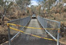 Councils call for extension of free bushfire waste disposal program