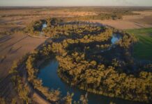 Swan Hill council adopts Murray-Darling Basin Plan Review submission
