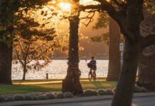 Fresh funding round for Perth and Peel tree canopies