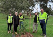 City of Kingston reaches urban forest milestone
