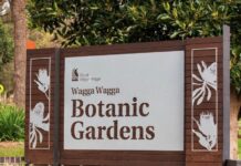 Wagga Wagga council adopts botanic gardens masterplan
