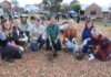 Newcastle council and health staff dig deep for urban greening