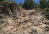 Waterfall Way landslip remediation works locked in