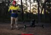 Lake Mac council deploys heat-seeking drones to reveal canopy koalas