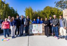 Active school routes hit the road for Artarmon Public SchoolÂ