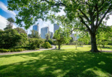 Parkland shrubs missing link to community wellbeing, UQ study finds
