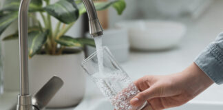 Rocky Creek crowned top tap water in Tasmania