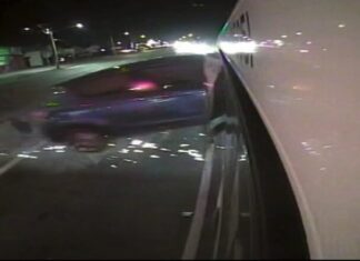 Brisbane bus driver praised for heroism after car makes unexpected landing