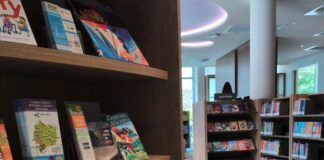 Nillumbik council and library partner for family violence disclosure training