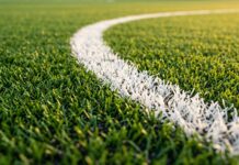 NSW Govt transfers ownership of Belrose park to council