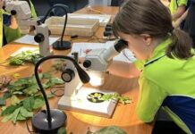 City of Darwin fosters young environmental champions
