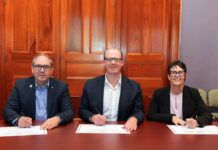 Queensland councils unite for wind farm renewables deal