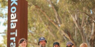 Narrandera koala festival turns conservation into action