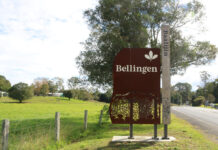 Bellingen looks to clean up at Tidy Towns Award