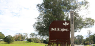 Bellingen looks to clean up at Tidy Towns Award