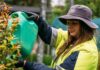 New Awards to recognise new generation of council employees