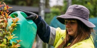 New Awards to recognise new generation of council employees